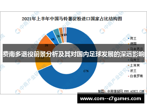 费南多退役前景分析及其对国内足球发展的深远影响 费南多退役前景分析及其对国内足球发展的深远影响
